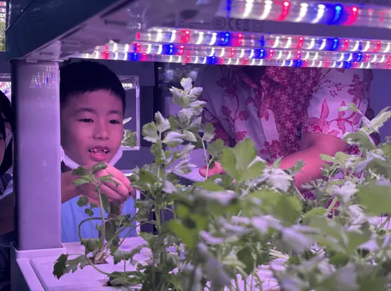 AI FARMING PARK